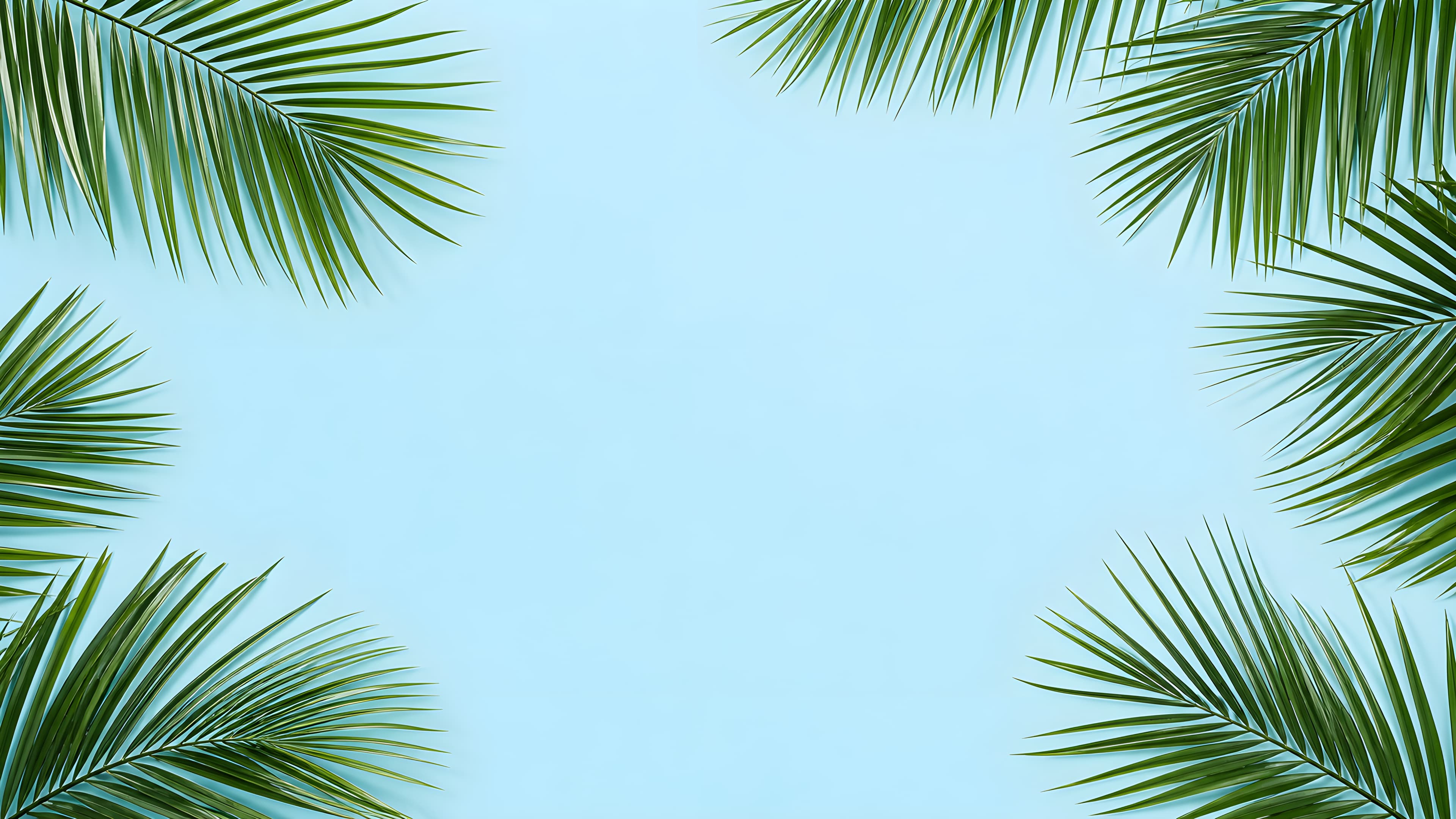 Palm trees